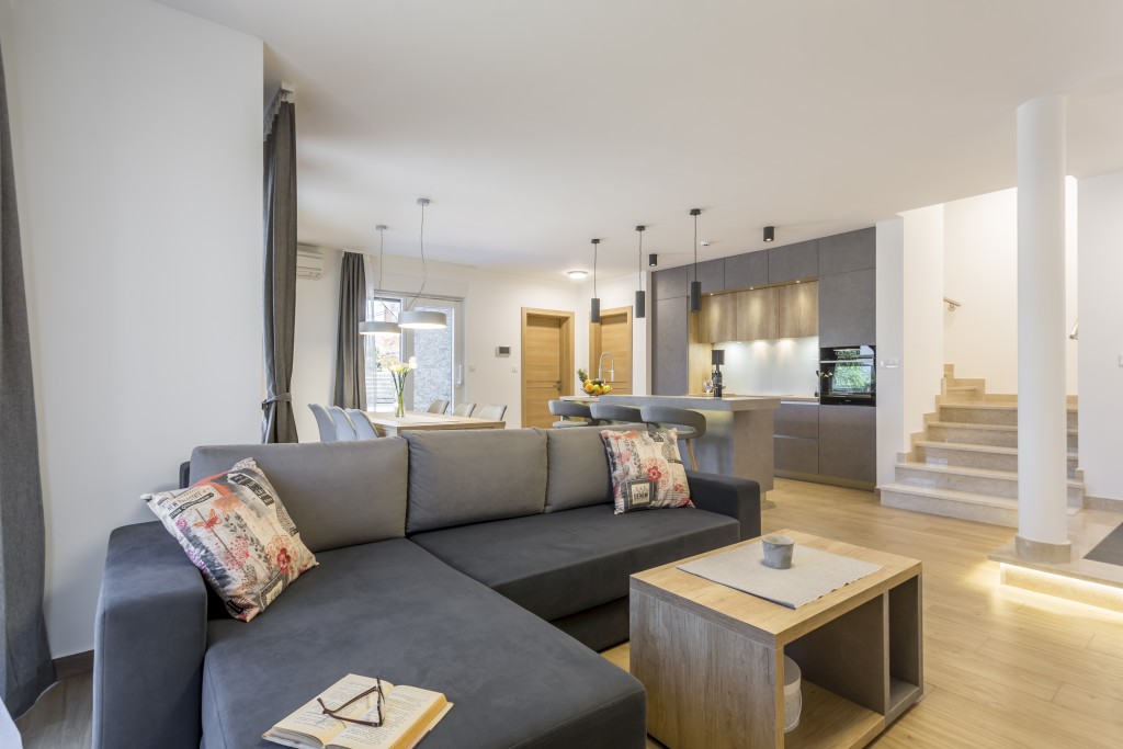 Living and Kitchen Area
